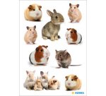 Autocollants DECOR 'Animaux préférés'