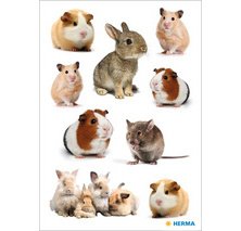 Autocollants DECOR 'Animaux préférés'