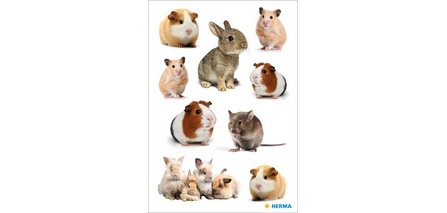 Autocollants DECOR 'Animaux préférés'