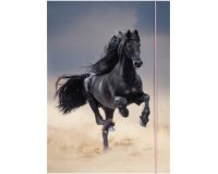 Pochette de rangement à dessins BASIC 'Black Horse',A3