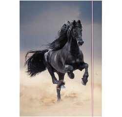 Pochette de rangement à dessins BASIC 'Black Horse',A3
