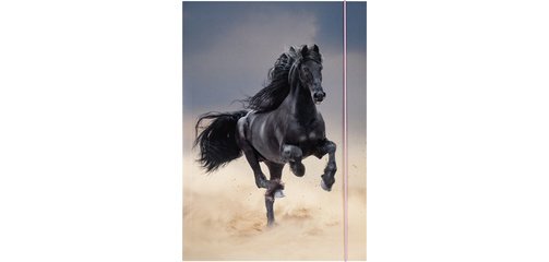 Pochette de rangement à dessins BASIC 'Black Horse',A3