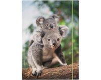 Pochette de rangement à dessins BASIC 'Jungle Cuties'