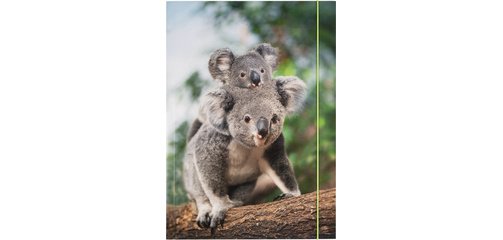 Pochette de rangement à dessins BASIC 'Jungle Cuties'