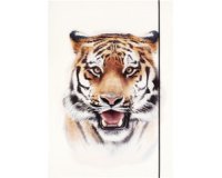Pochette de rangement à dessins BASIC 'Roaring Tiger'