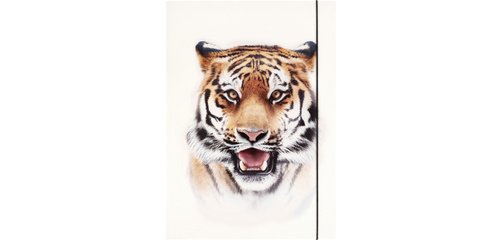 Pochette de rangement à dessins BASIC 'Roaring Tiger'