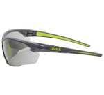 Lunettes de protection suXXeed, oculaires: gris