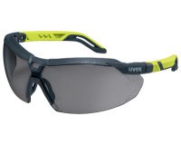 Lunettes à branches i-5, teinte des oculaires: gris