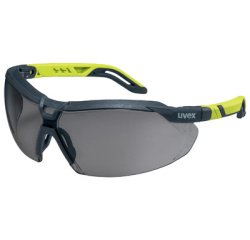 Lunettes à branches i-5, teinte des oculaires: gris