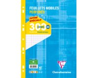 Feuillets mobiles sous film A4 300 pages perforées petits carreaux