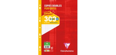Copies doubles sous film A4 300 pages perforées petits carreaux