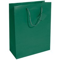 Geschenktas in papier mat gelakt groen