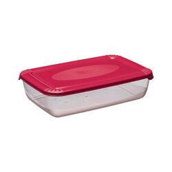 Boîte de congélation Polar, 0,45 litre, rouge