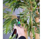 Sécateur à enclume, noir/vert