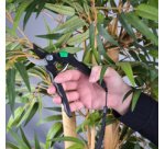 Sécateur Bypass, noir/vert