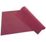 Barquette de 100 sets de table spundbond, unis - Format 30x40cm