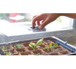 Mini-serre, taille M, volume: 5,7 L, anthracite