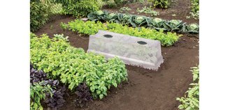 Lid for planter 'VEG&Table' City, transparent