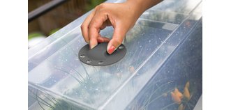 Couvercle pour jardinière 'VEG&Table' City, transparent