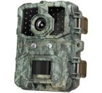 Caméra pour la faune
