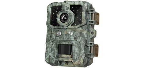 Caméra pour la faune