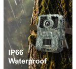 Caméra pour la faune