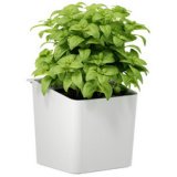 KITCHEN Pot pour herbes aromatiques, blanc