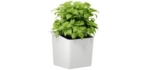 KITCHEN Pot pour herbes aromatiques, blanc