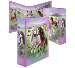 Classeur à motif 'Le monde des chevaux', A4