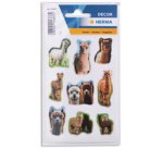 Sticker DECOR Alpagas