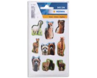 Sticker DECOR Alpagas