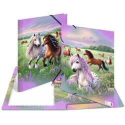 Chemise à élastique 'Le monde des chevaux', carton, A3