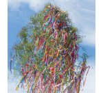 Banderolle de papier crépon, 500 mm x 2,5 m, assorti