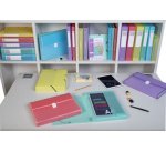 Trieur valisette polypropylène chromaline - 13 compartiments - Couleurs assorties