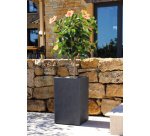 Bac à plantes BASALT UP, colonne, (H)495 mm