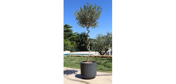 poétic Bac à plantes BASALT UP, rond, 385 mm