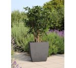 poétic Bac à plantes BASALT Diva, carré, 435 mm, anthracite