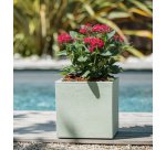 Bac à plantes BASALT UP, cubique, 295 mm