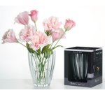 Vase FLORA, transparent