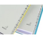 Intercalaire carton ECO, mois, A4, 12 pièces