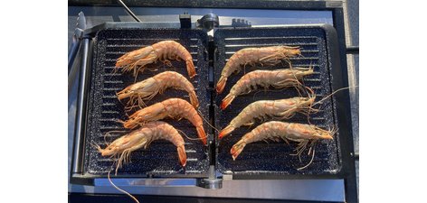 Gril Electronic Grill, 2.000 watts, noir