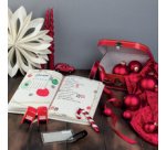 Kit tampon à motif 'Switch' - Noel