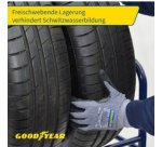 Rayonnage pour pneus de voiture, pour 4 pneus, bleu