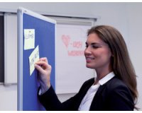 Punaises en bois, rond, contenu: 40 pièces