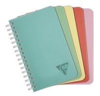 Carnet reliure intégrale LINICOLOR, 90x140mm