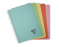 Carnet reliure intégrale Linicolor ESSENCE A5 180 pages petits carreaux couverture plastique polypropyène rainuré - Vert sauge