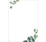 Design papier 'Eucalyptus', A4, 90 g/m²