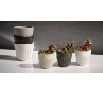 Bol LINEO, 180 ml, set de 6