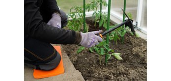 Planche pour genou, (L)400 x (T)200 x (H)20 mm