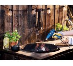 Décapeur thermique - Thermal 1600 - 1600 W